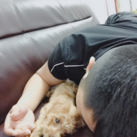 刘士远