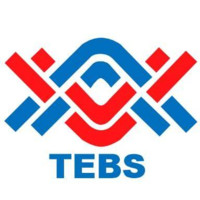 TebsTech Consultancy Services