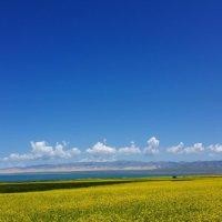马永明