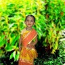 Papai Sutradhar