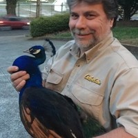 Dennis Hambright