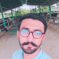 Vet M Ali Mohsin