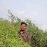 Illa Ramesh