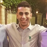 Louay Gamaleldin