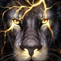 John Cortinez