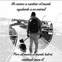 Felipe Pulgar