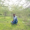 Bakkar Yes