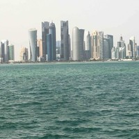 ميمي الروش