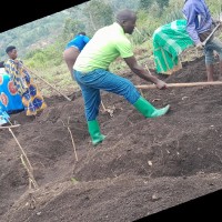 Mwijuka Pison