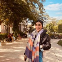 Alaa Mostafa