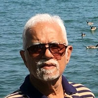 arif vasi