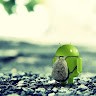 Tcs Test