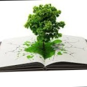 BASSU  (I) PLANTATION