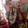 Dinesh Hela