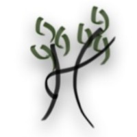 Rachael Wilcox- Rolniak