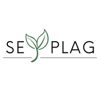 SEYPLAG SpA