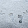 Barefoot Journeys