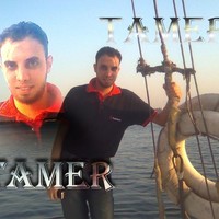 Tamer Maher