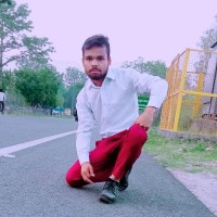 Vikas Raj