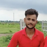 Raja Singh