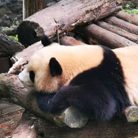 王浩鉴