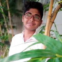 Dineshkumar Elangovan
