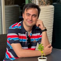 Mohammad Hossein Najafi