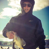 Austin Nebeker