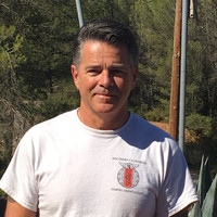 Mark Dove