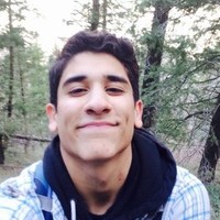 Daniel Araya