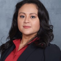 Liz Del Cid Phd, Pe