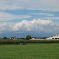 Ole Steenild