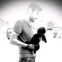 AHMET KARLI