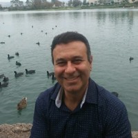 hamid mohammadi