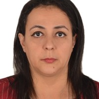Shereen Nabil