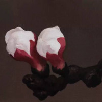 Zhao Lan