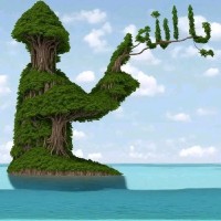 مصطفى يوسف