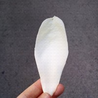 冯志飞