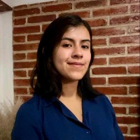 Lizeth Hernandez Sosa