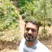 Neeraj Maurya