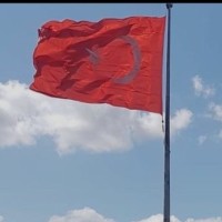 Savaş Babuşcu