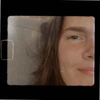 Catarina Pereira Viana