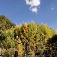 Peter Johannes Cuperus