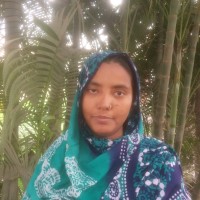 Mst.Sadia Sharmin