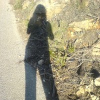 veronica seymour farr