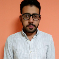 Amir Habib