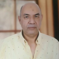 Hossam Nour Eldin