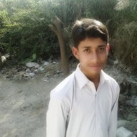 Feroz Gull