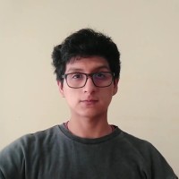 Israel Gonzales Palomino