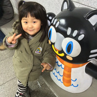 순권정
